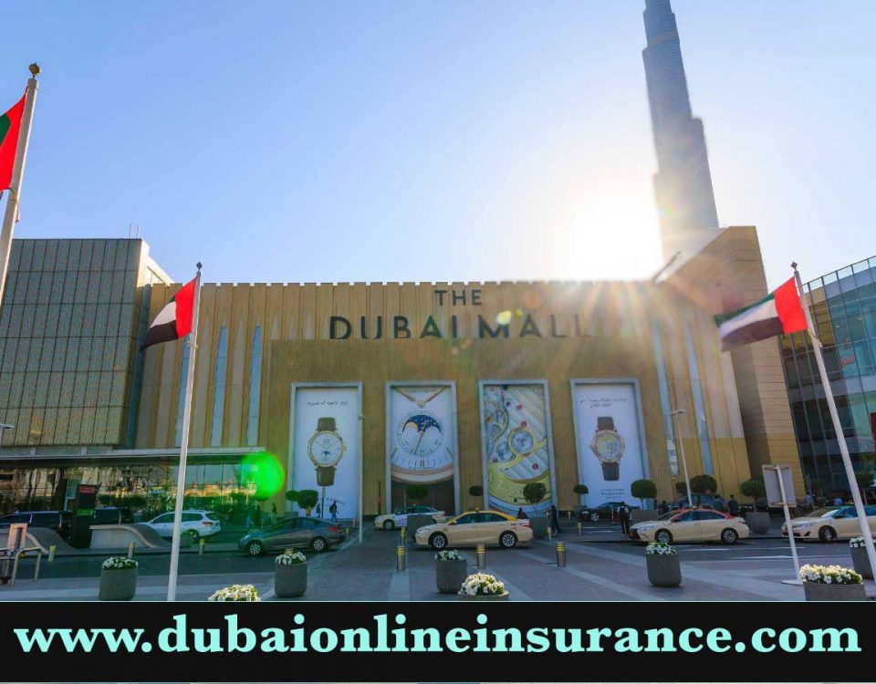 travel insurance for dubai visitors